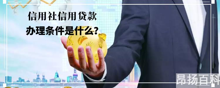 个人在信用社怎么贷款(信用社怎么申请贷款)