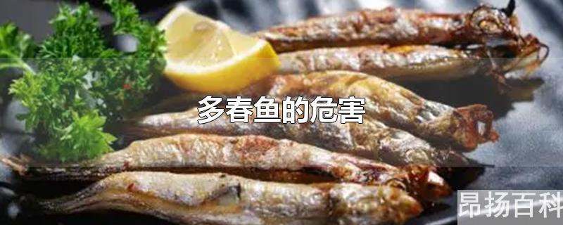 多春鱼有营养吗(多春鱼有毒吗)