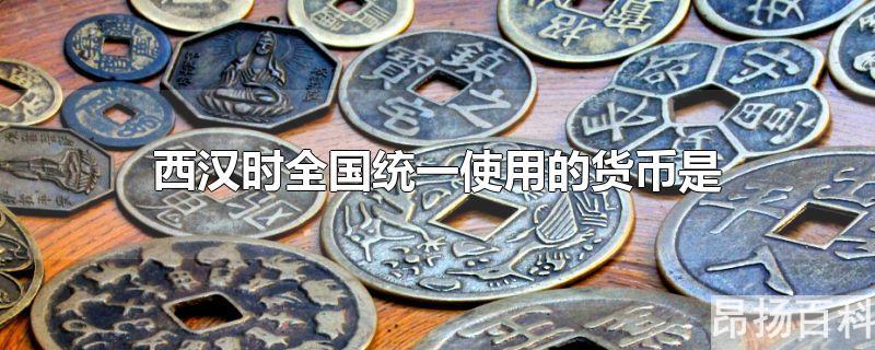 西汉时全国统一使用的货币是A半两钱B绢帛C铲币D五铢钱