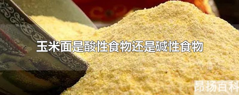 玉米面是碱性食物吗(玉米面是酸性还是碱性的)