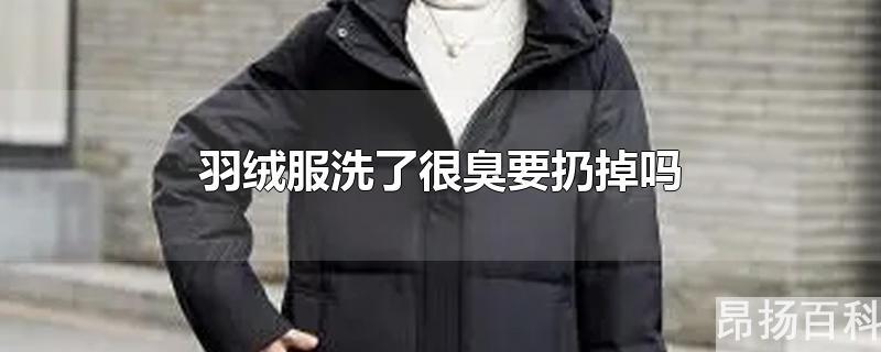 羽绒服洗了之后很臭(羽绒服洗完了臭)