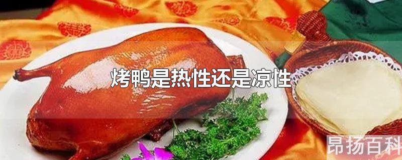 烤鸭肉是凉性还是热性(烤鸭子是凉性还是热性)