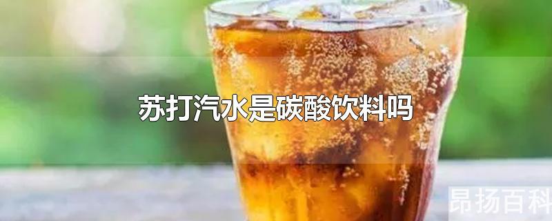 苏打汽水和碳酸饮料有区别吗(苏打水汽水是碳酸饮料吗)