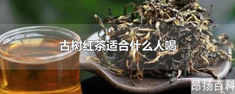 古树红茶适合女人喝吗(古树红茶好吗?)