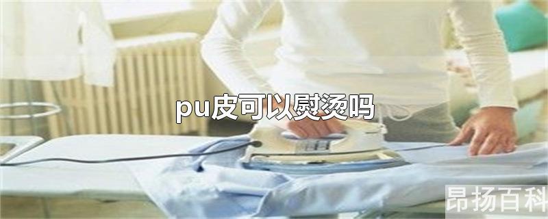 pu皮可以用熨斗熨吗(pu皮能不能熨烫)