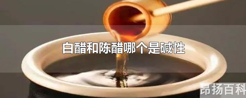 陈醋是不是碱性的(老陈醋属于酸性还是碱性)