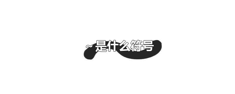 字典里～是什么符号(这个～是什么符号)