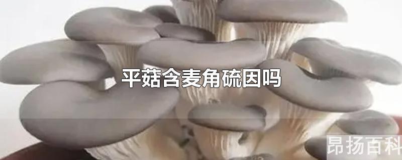 含麦角硫因的食物(哪种蘑菇有麦角硫因)