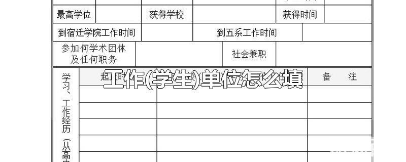 学生怎样填工作单位(工作单位学生怎么填写)