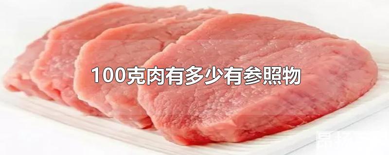 100克肉有多大(100克的肉)