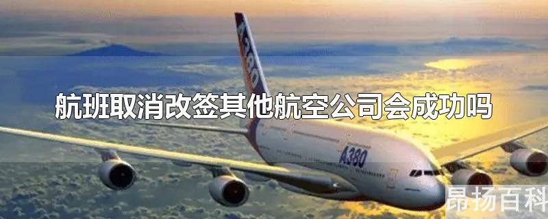 因航空公司原因航班取消改签其他公司航班