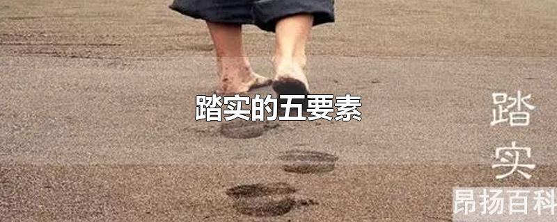 踏实的五要素是什么(踏实的五要素是什么?(25分))