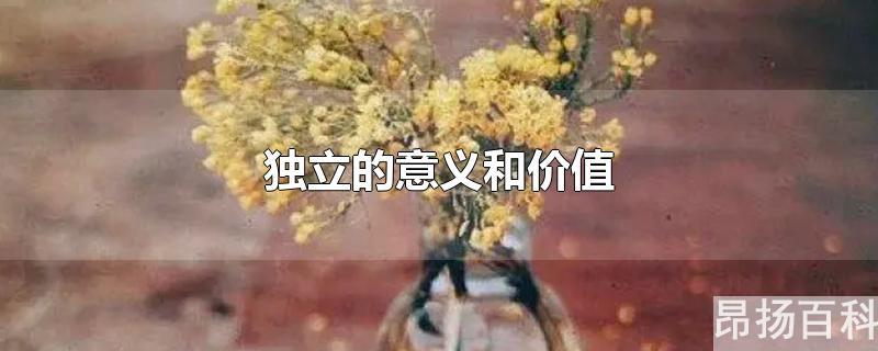 独立性的重要意义(独立的价值是什么)