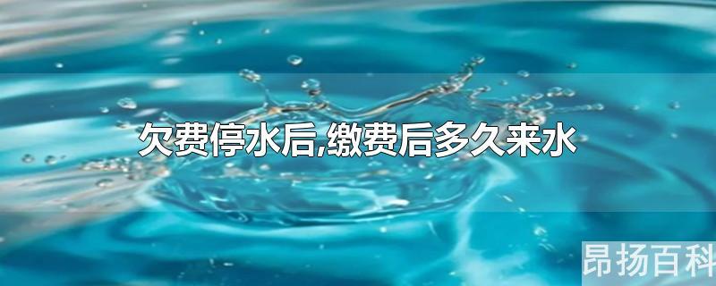 水费欠费缴费后一般多久来水(停水缴费后多久来水)