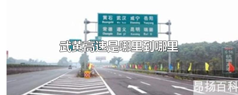 武黄高速公路(武黄高速电话)