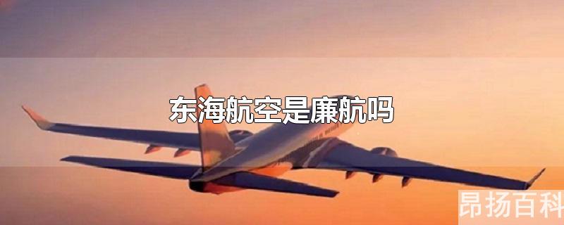 东航是廉航吗?(东海航是不是廉价航空)