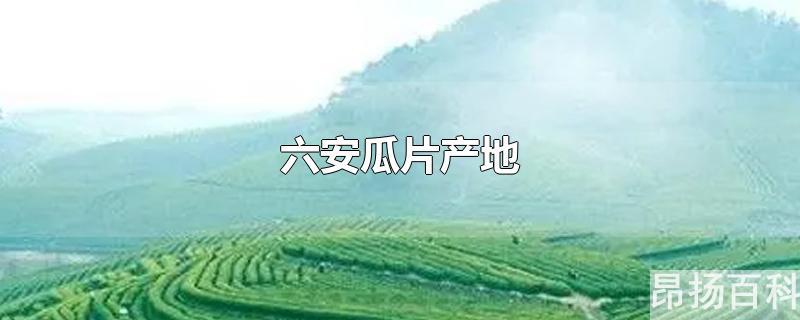 六安瓜片产地环境(六安瓜片产地分布排名)