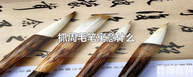 抓周抓毛笔意味着什么(宝宝抓周抓到毛笔是什么寓意)