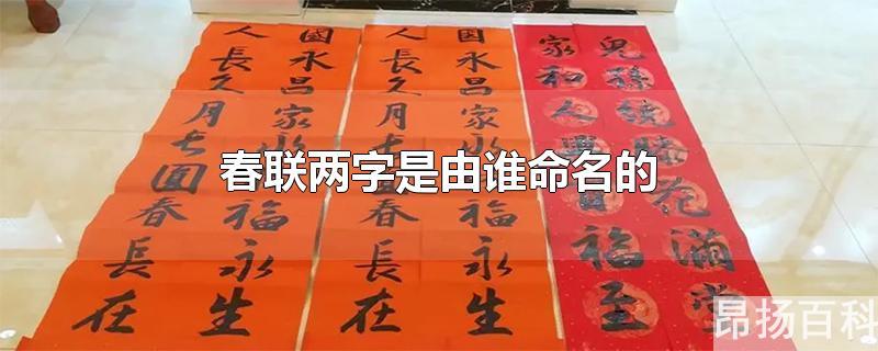 春联两字是由谁正式命名的(春联二字谁命名)