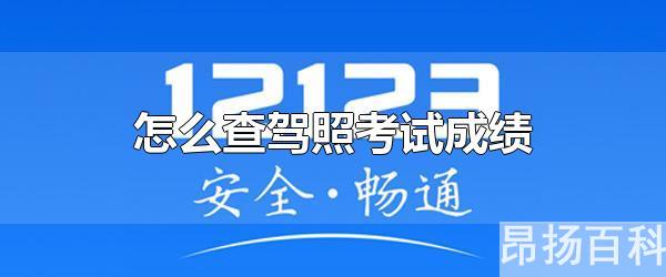 驾照考试成绩查询系统官方网站(怎么查驾证考试成绩查询)