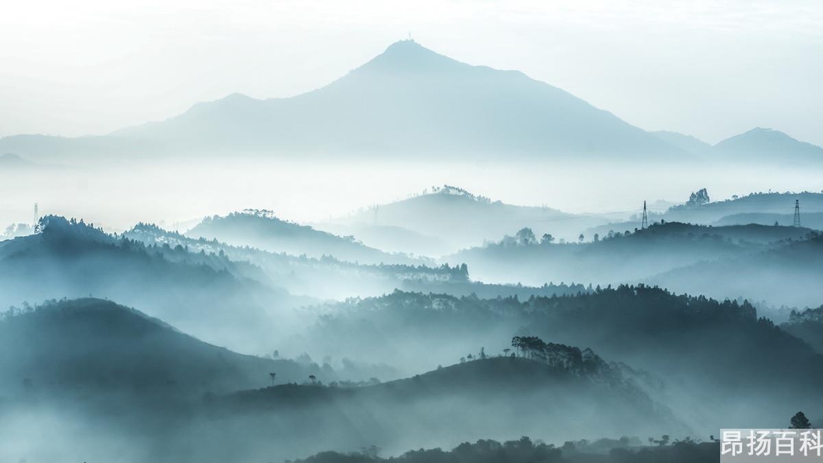 木地板销售话术之八个技巧(地板销售方案)