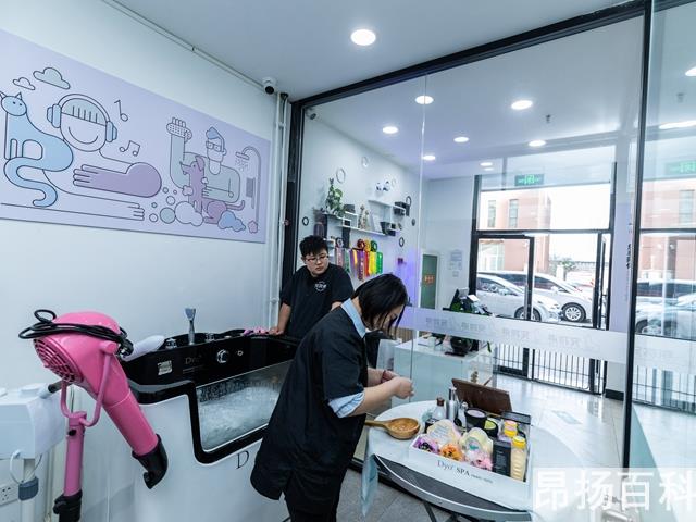 开宠物店基本要懂的(开宠物店需要做什么)