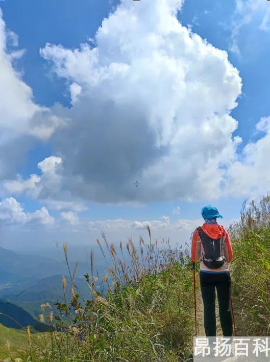 去哪里旅游人比较少（国庆去哪儿玩人少）