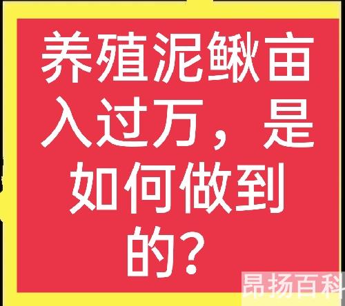 泥鳅养殖赚钱吗(养植泥鳅要多少成本)