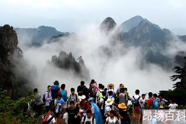 迎客松无客可迎黄山旅游业遭重创（提到黄山想到迎客松） (http://www.cangchou.com/) 网络快讯 第4张