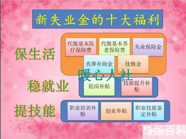 去社保局办的失业金从哪里看(社保局怎么判断在领失业金人,再次就业)