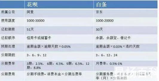 京东白条利息和花呗利息哪个高(京东白条跟花呗哪个利息低)