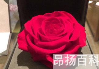 怎么样才能美容(美容手法教你如何做美容)