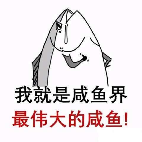 闲鱼卖家不发货咋办(闲鱼卖家就是不发货)