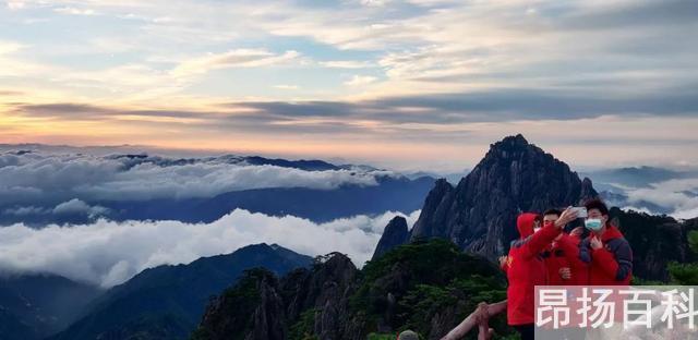 迎客松无客可迎黄山旅游业遭重创（提到黄山想到迎客松） (http://www.cangchou.com/) 网络快讯 第7张